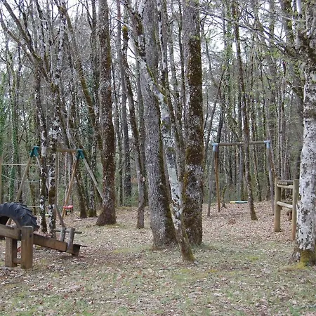 Prázdninový dům Iris, Les De